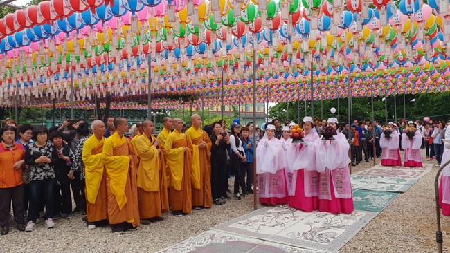 Partake in the Vesak Ceremony at Yonggungsa Cham Joeun Uri Temples